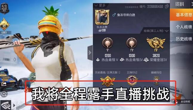 和平精英【灵凡内核工作室】辅助